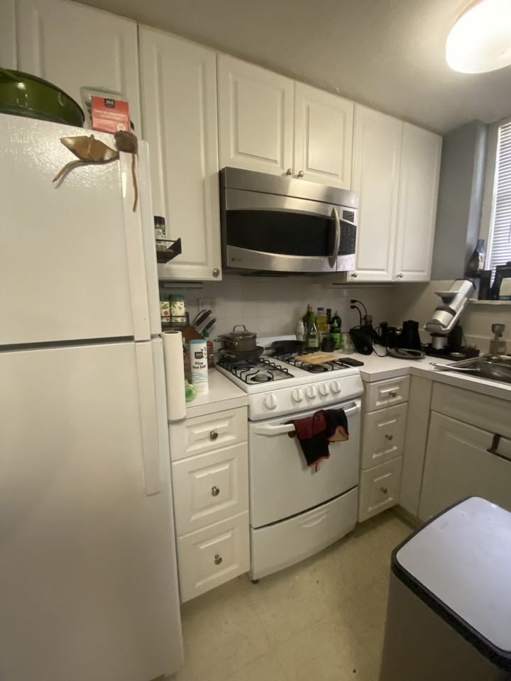 56 Selkirk Rd #B - Photo 2 of 6