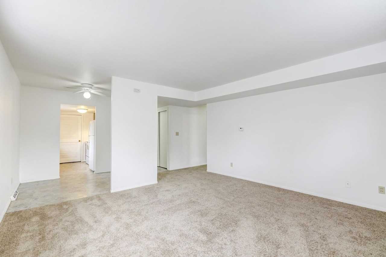 Mattis, LLC - Photo 6 of 18