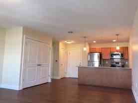 The Springs Luxury Apartments - Photo 1 of 1