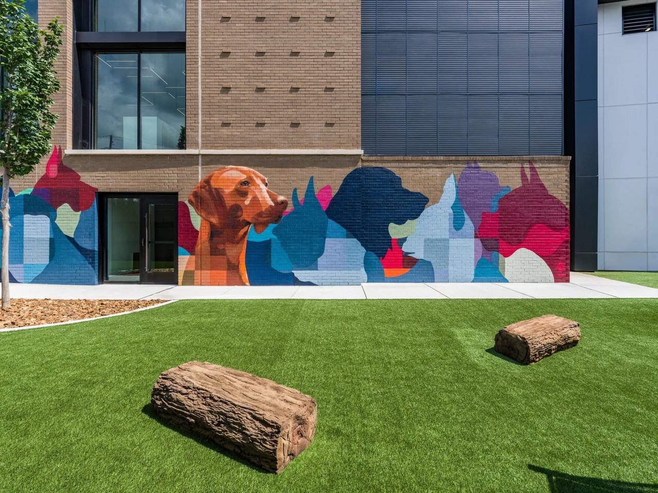 Modera SoBro - Photo 4 of 50