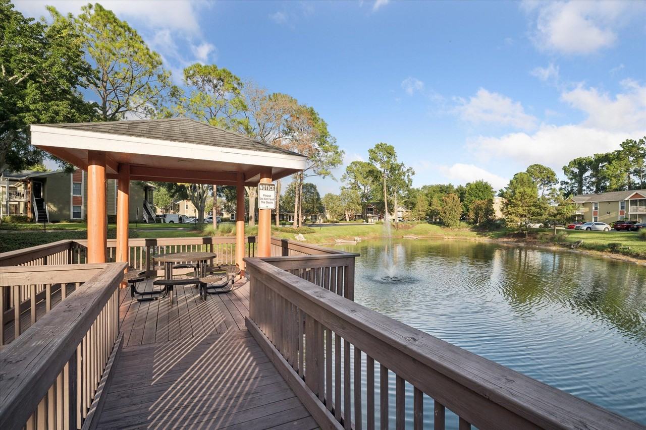 Latigo 27 - Photo 6 of 50