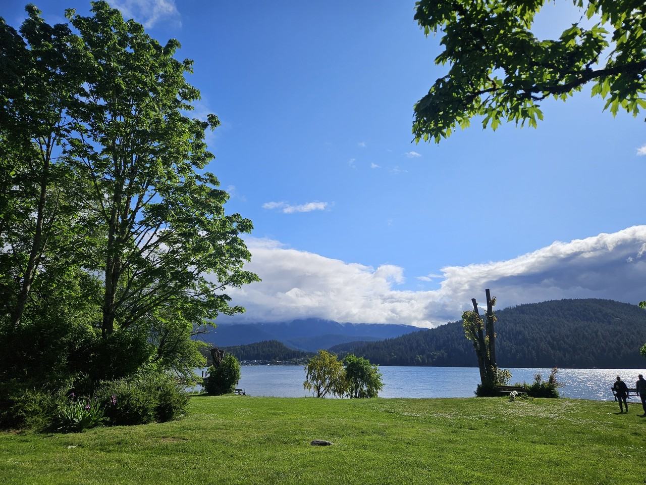 Lowry Lane - Photo 2 of 7