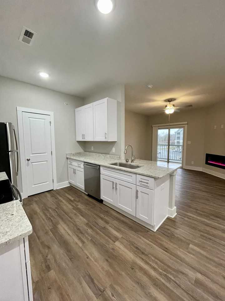 253 English Commons Drive - Photo 3 of 50