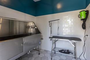 194 Bach Ct #194 - Photo 1 of 1