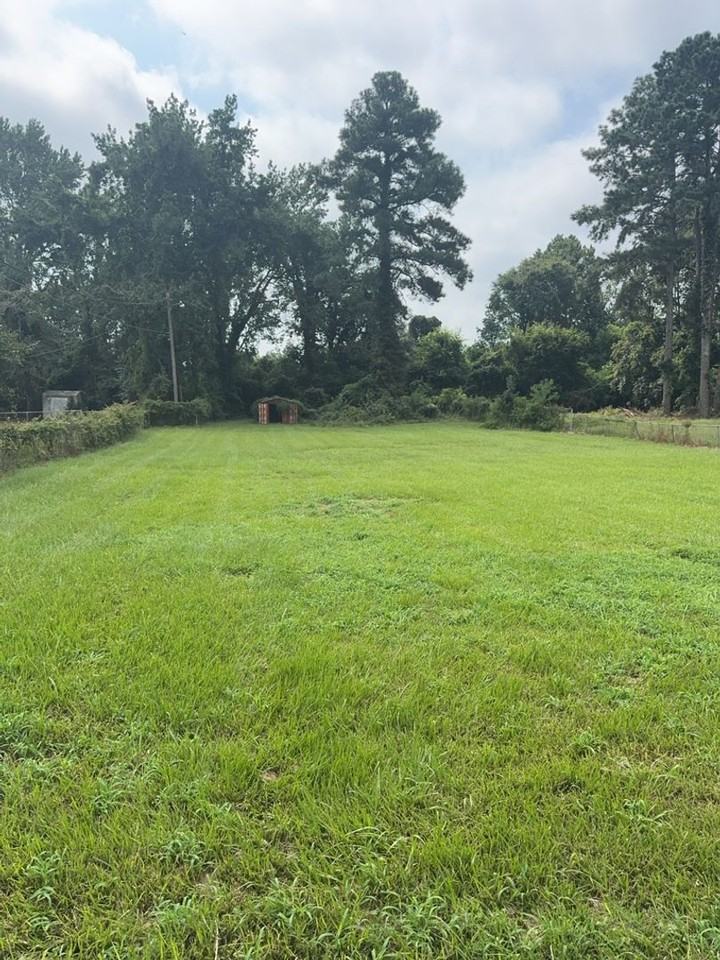 2010 Cook Rd - Photo 4 of 29