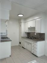 Kingsley - Photo 1 of 1