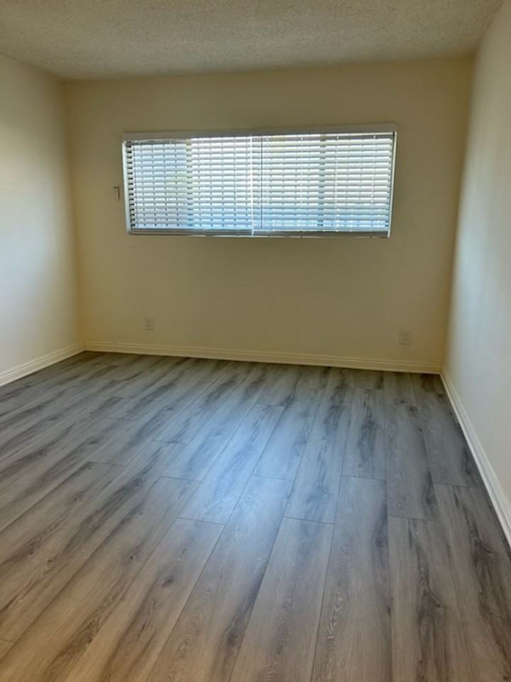 Kingsley - Photo 2 of 14