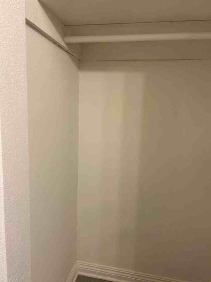 Kingsley - Photo 3 of 14