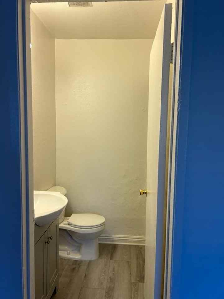 Kingsley - Photo 4 of 14