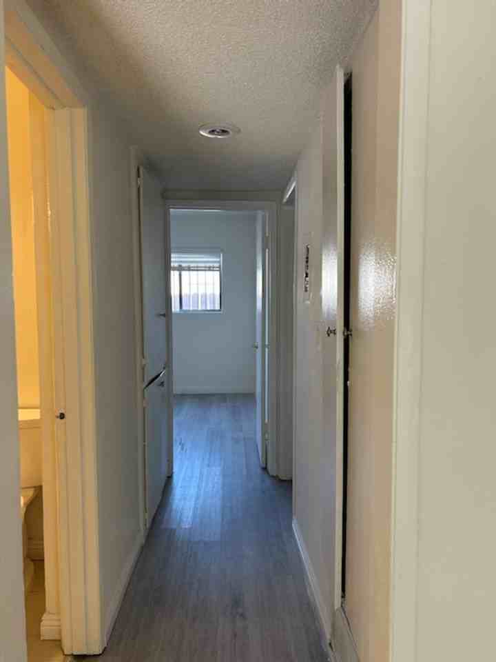 Kingsley - Photo 5 of 14