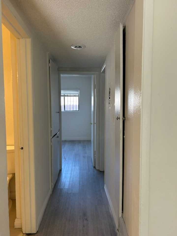 Kingsley - Photo 6 of 14