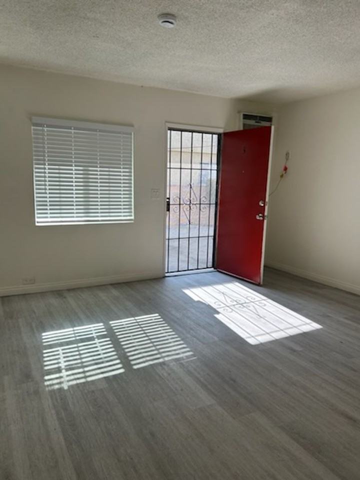 Kingsley - Photo 7 of 14