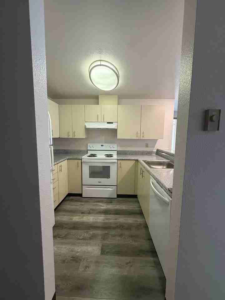 6700 ROOSEVELT APTS. - Photo 5 of 39