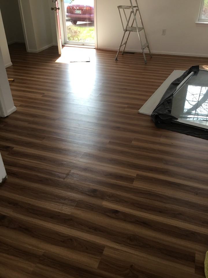 46 Treelane Dr - Photo 3 of 3