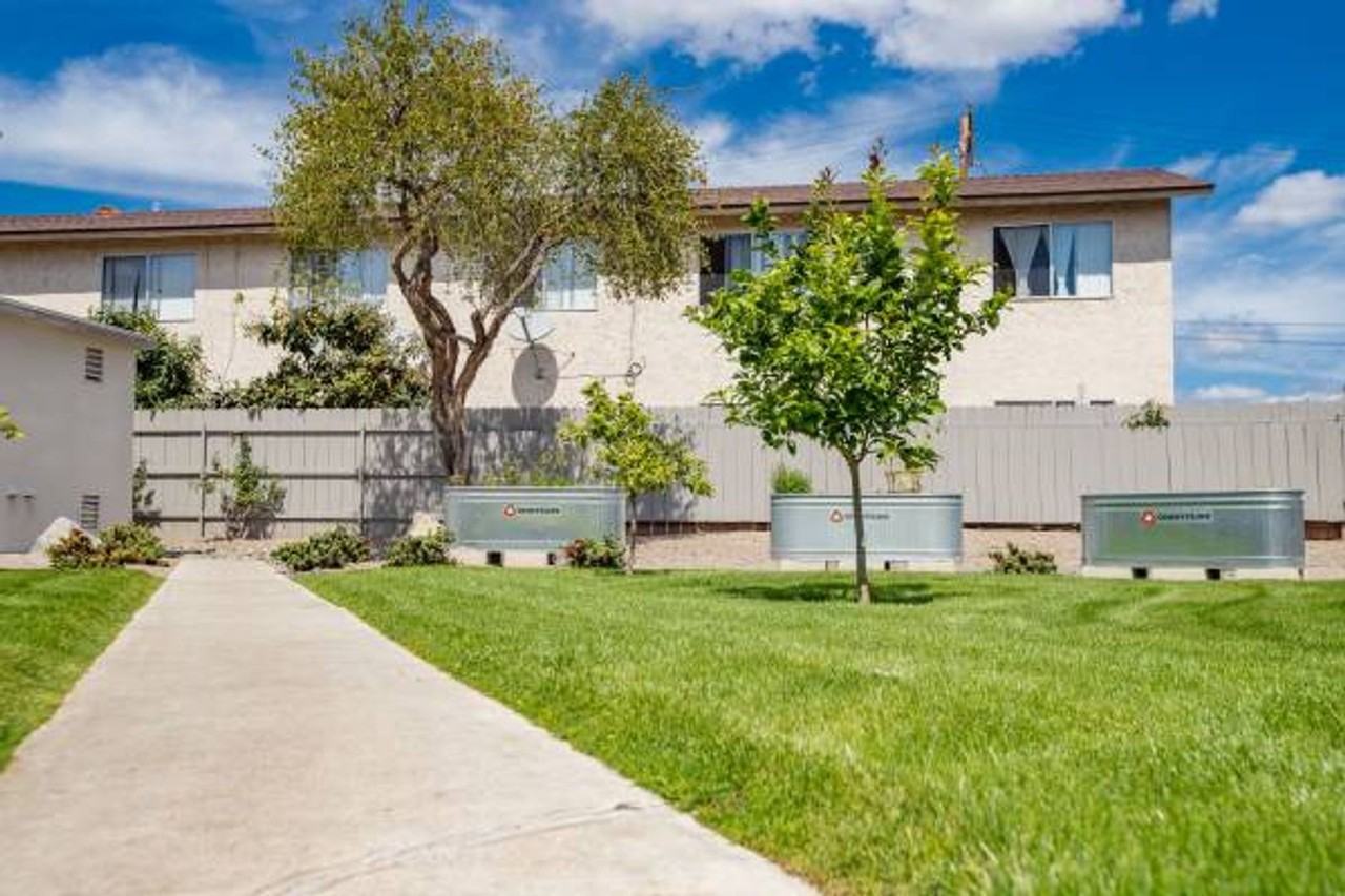 Oasis Del Sol - Photo 7 of 9