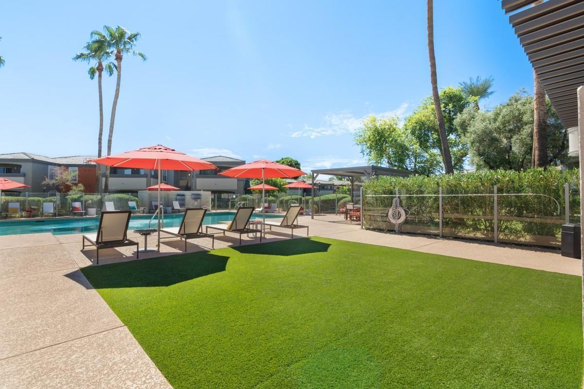 825 W Queen Creek Rd - Photo 7 of 17