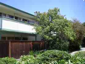 G3 + Sofia | (GRUBIV) 545 South Norfolk Street - Photo 1 of 1