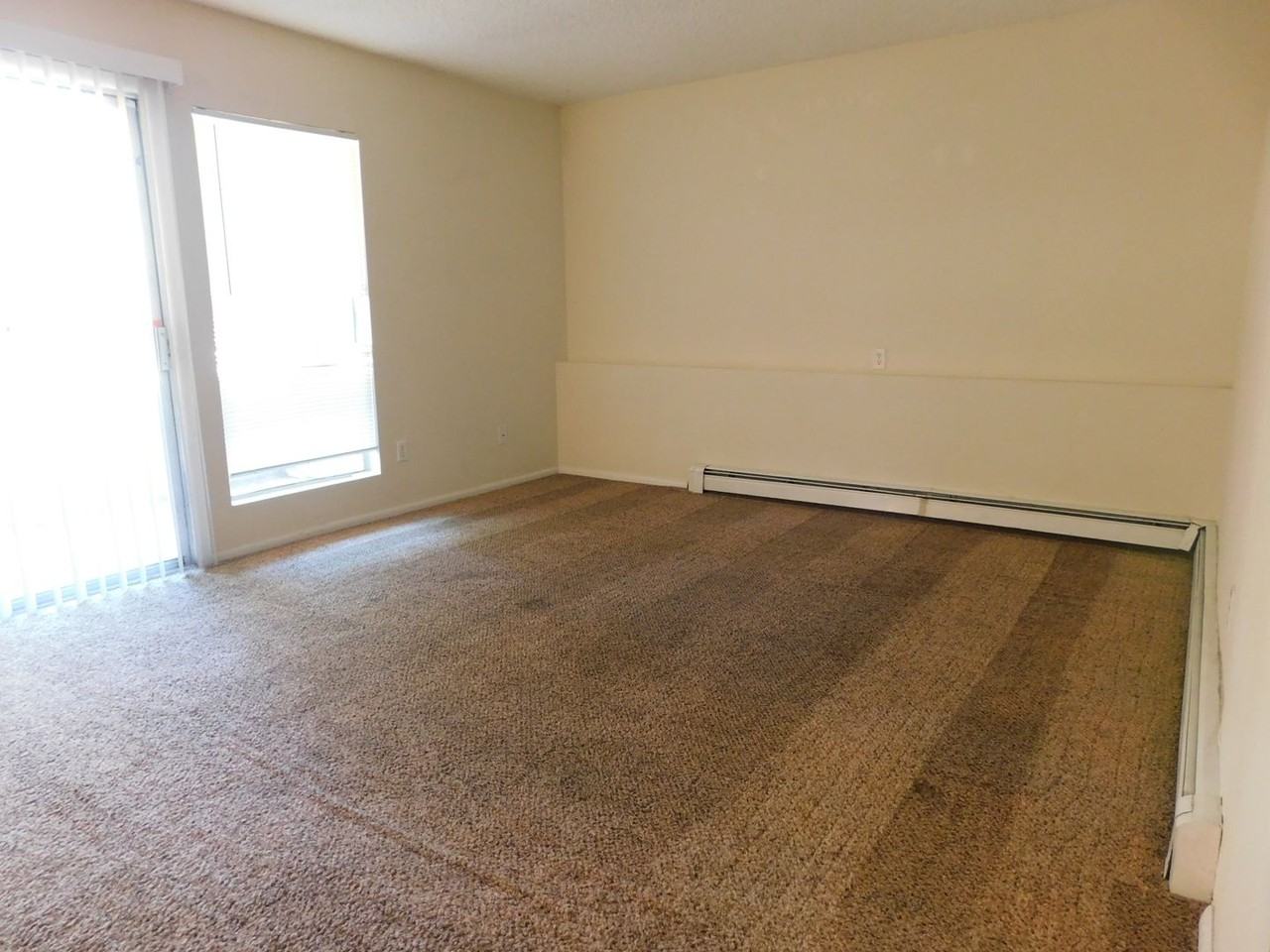 805 E Cedar Ct - Photo 5 of 16