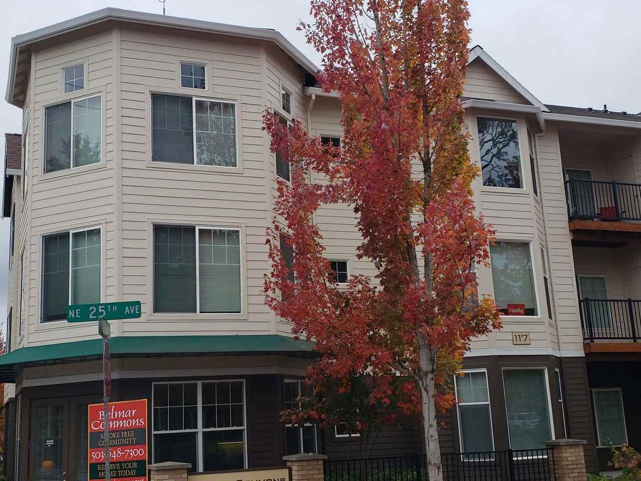 Belmar Commons - Photo 3 of 12