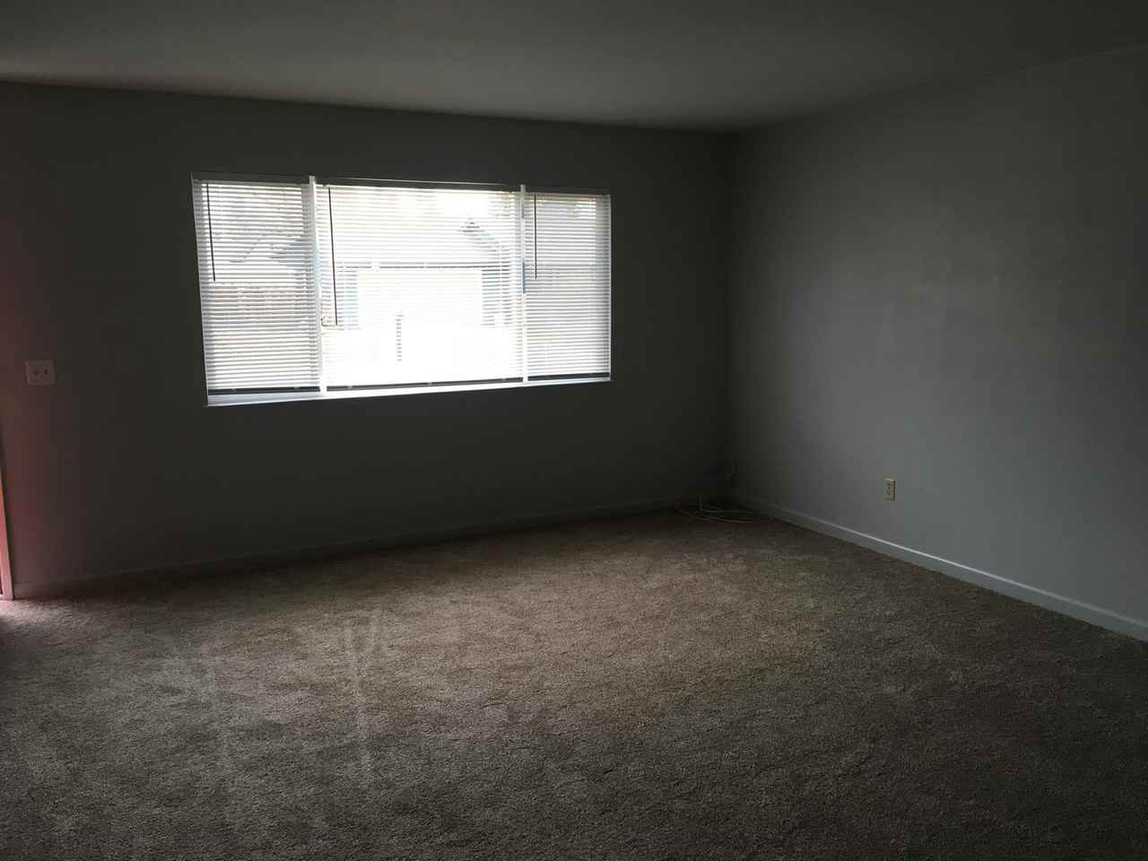 1151 Riviera Dr - Photo 3 of 12