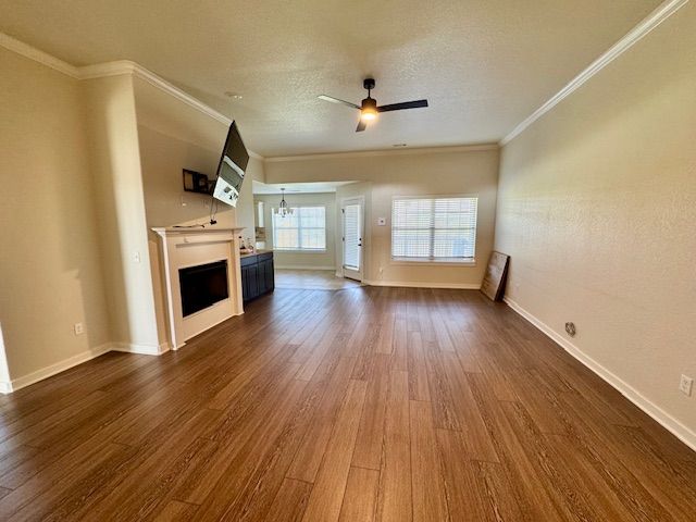 3907 Appaloosa Way - Photo 2 of 19