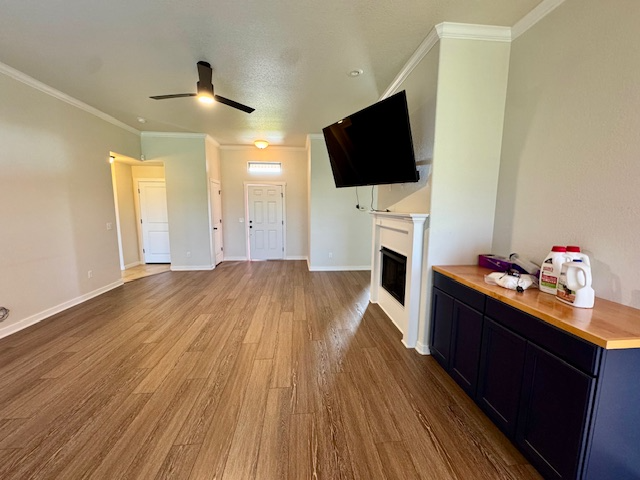 3907 Appaloosa Way - Photo 3 of 19