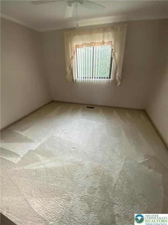 3602 Brandford Ct - Photo 6 of 15