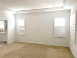 featured image of 89 Field Poppy