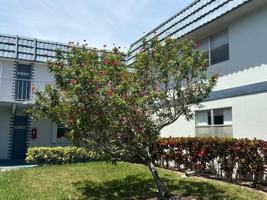 featured image of 384 Tuscany G