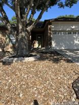 21543 Tenore - Photo 1 of 1