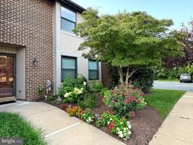 4016 Society Dr #4016 - Photo 1 of 1