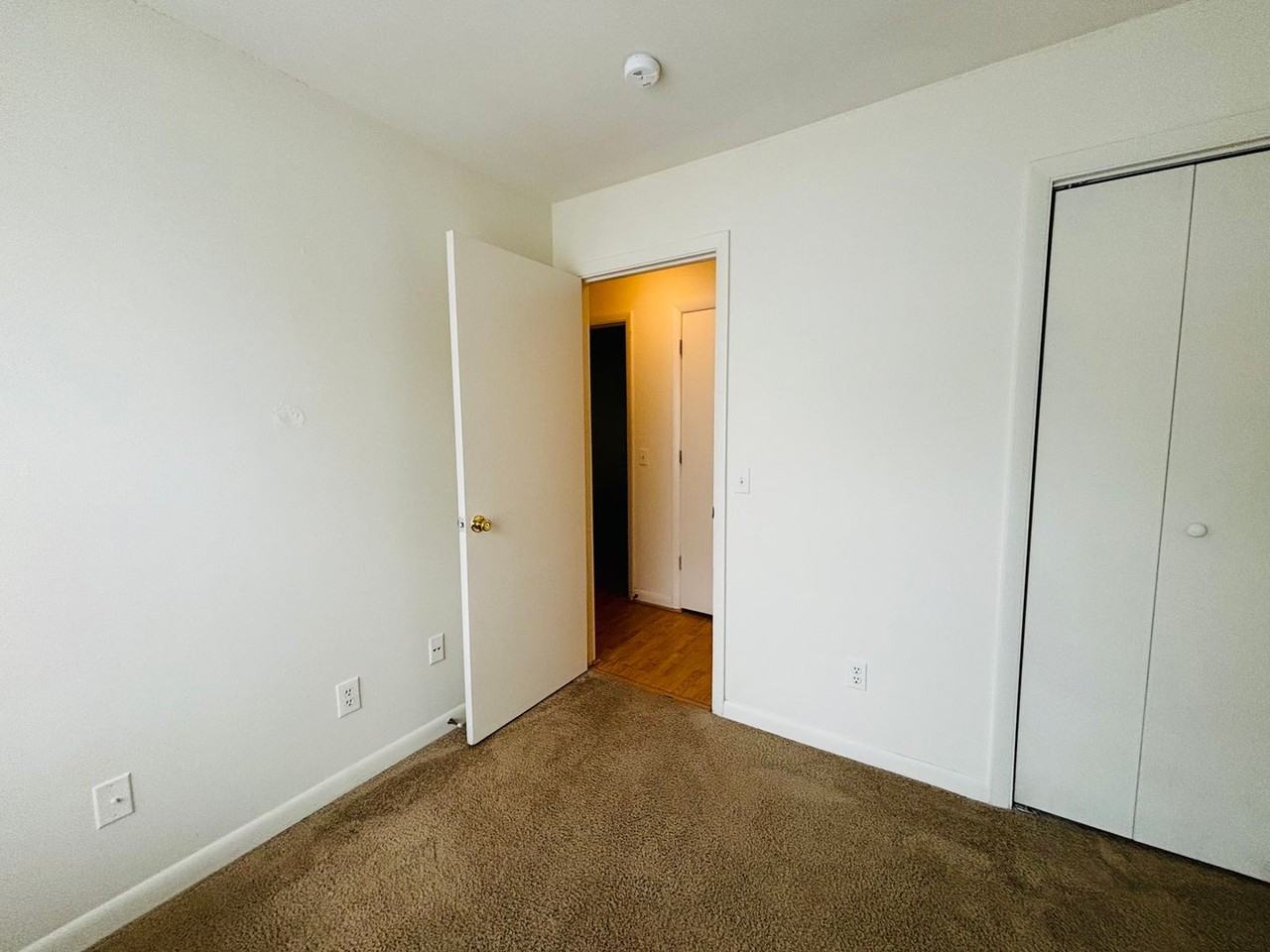 1209 University Ter Apt J - Photo 4 of 16
