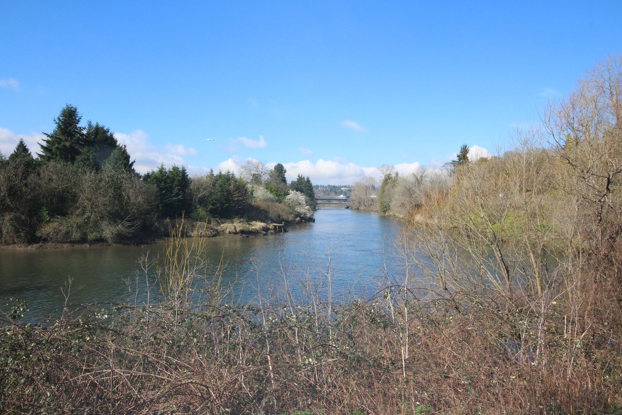 11630 42nd Ave S - Photo 3 of 18