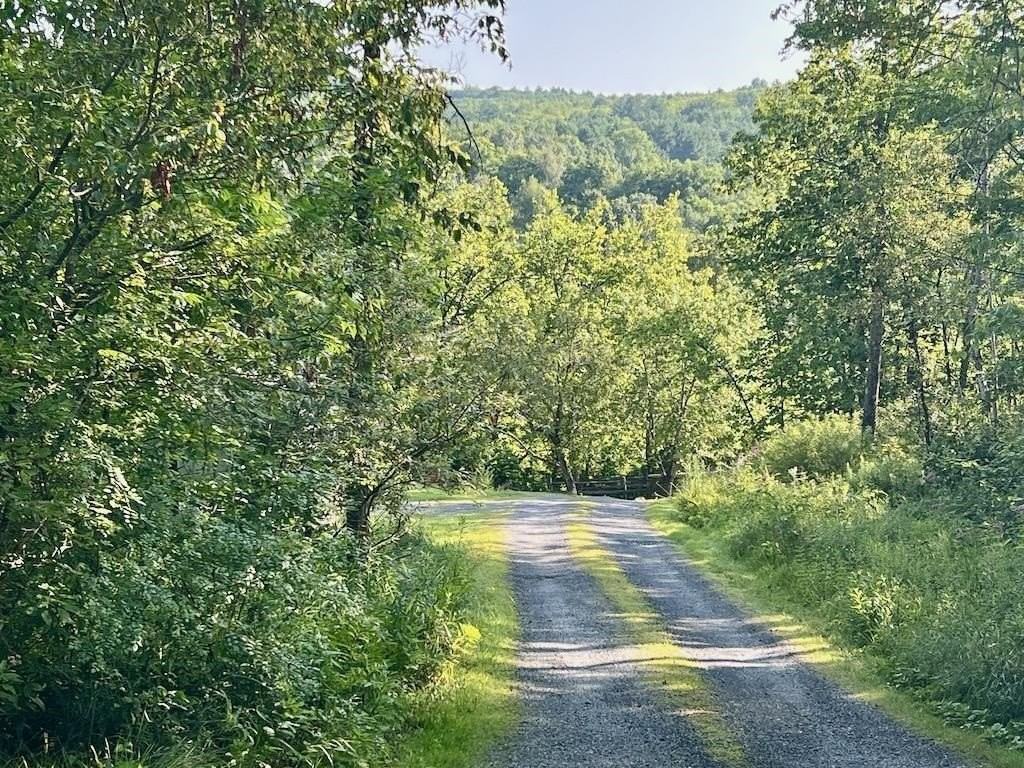 5451 River Rd - Photo 3 of 38