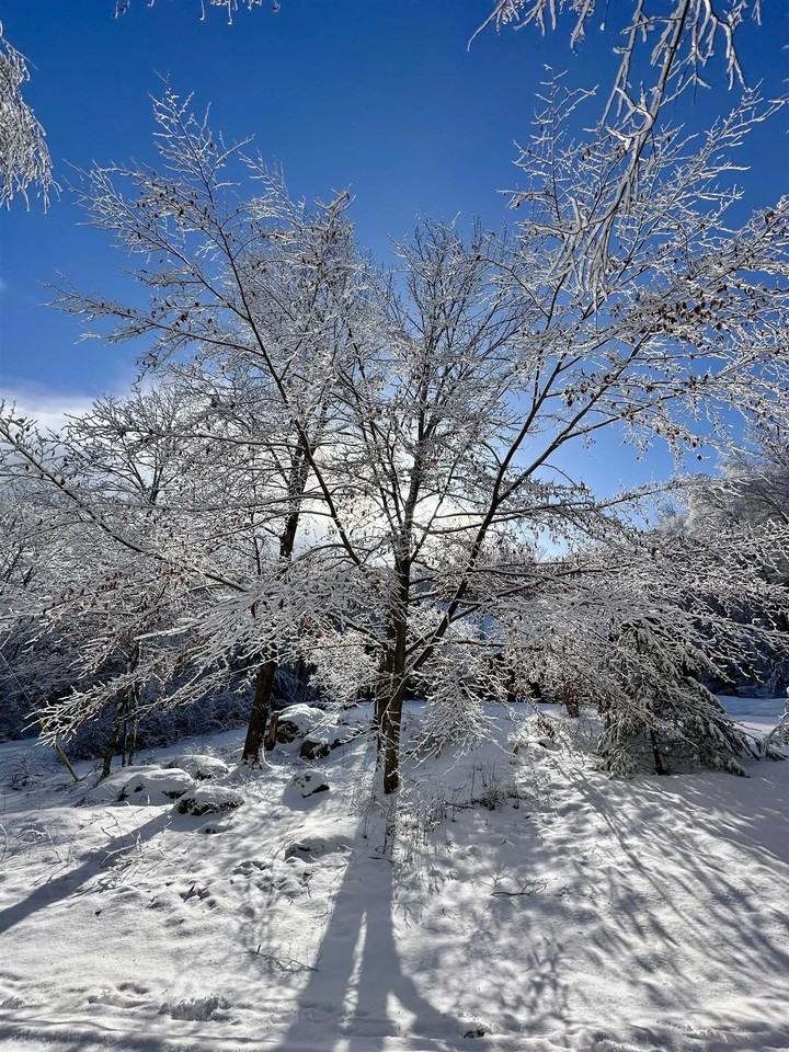 5451 River Rd - Photo 5 of 38