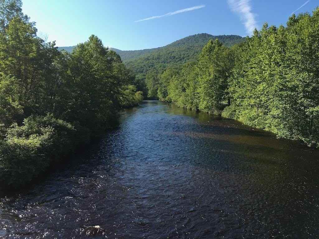 5451 River Rd - Photo 6 of 38