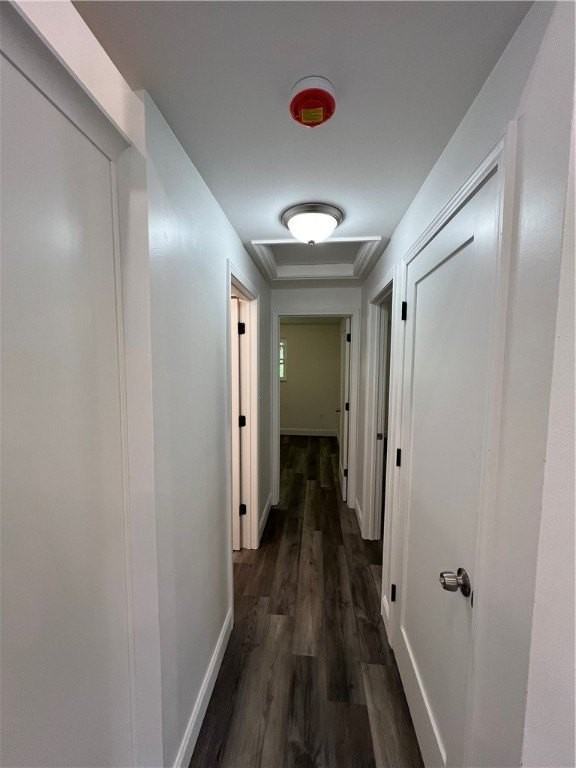 426 Parker Street #426 - Photo 7 of 14