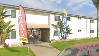 Rambling Rose - Photo 1 of 1