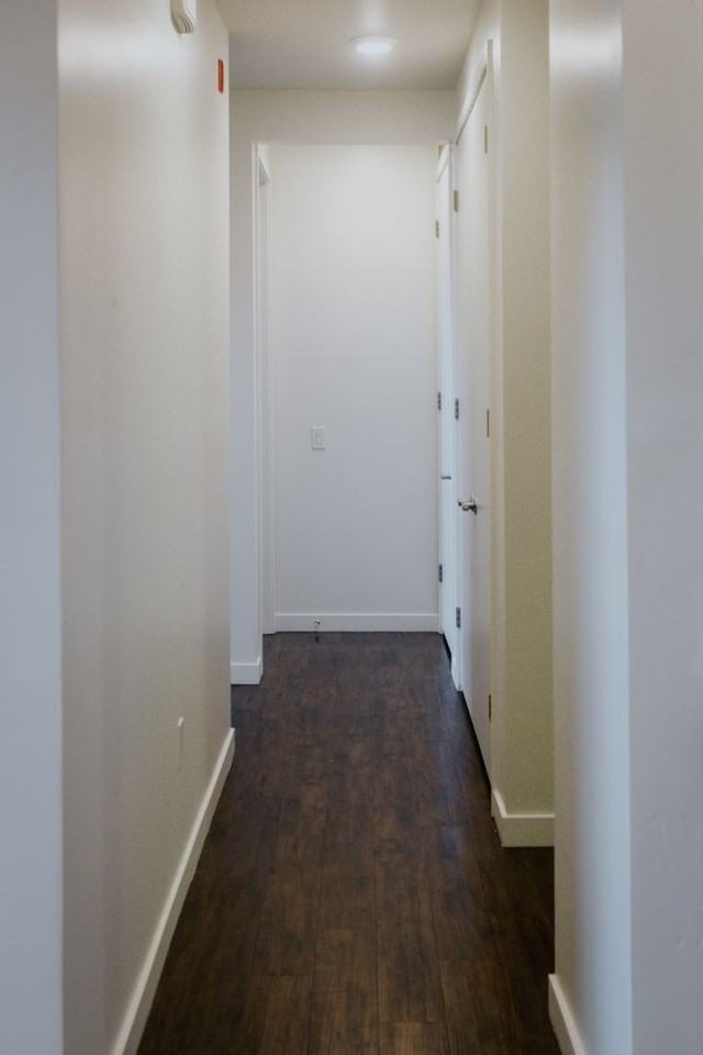 11325 Park Square Drive - Photo 4 of 49