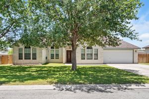 featured image of 215 Saddle Blanket