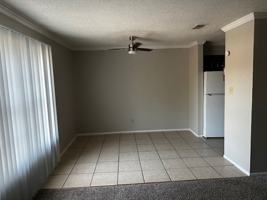 featured image of 250 Cypress Ln
