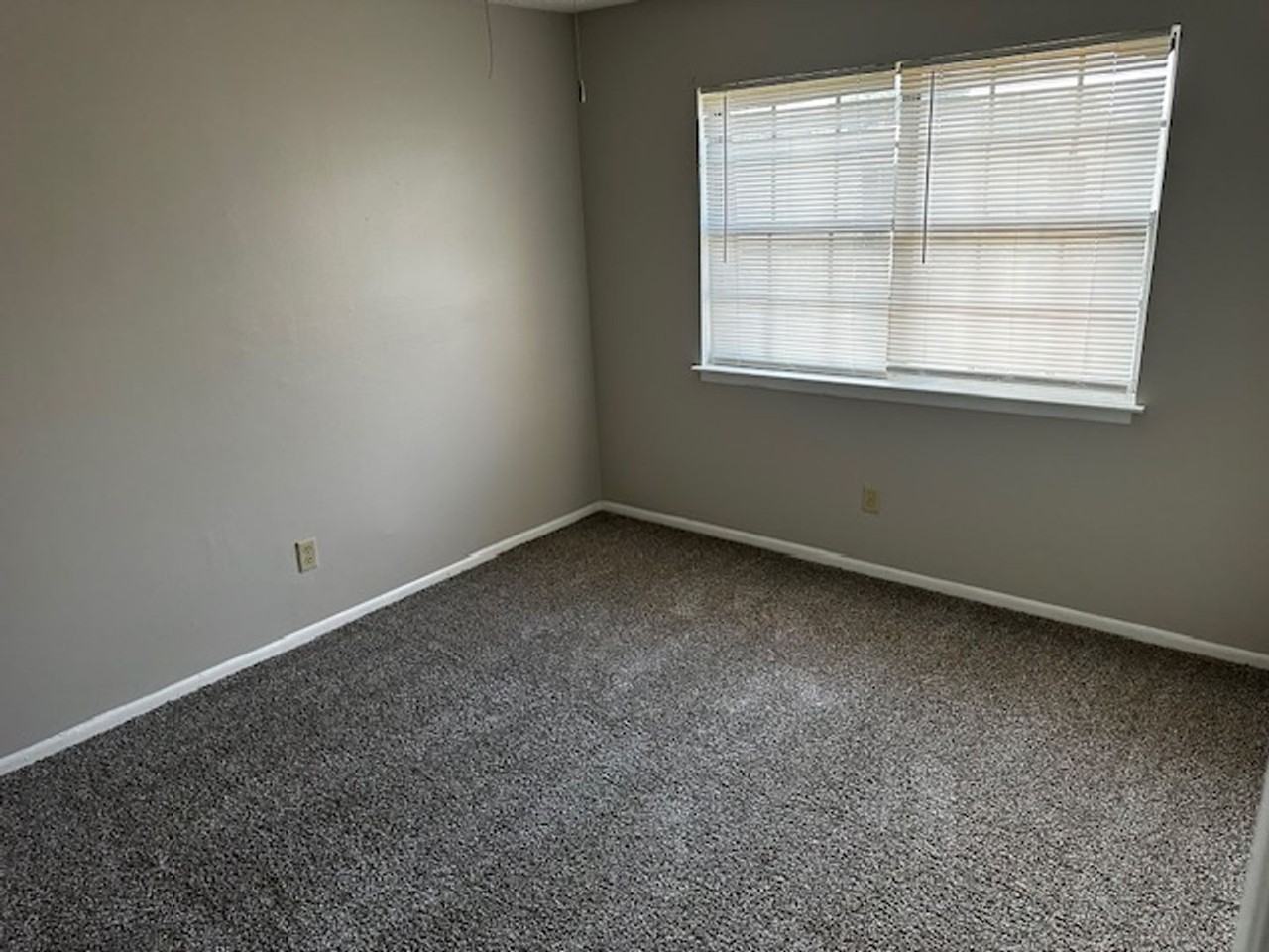 250 Cypress Lane - Photo 3 of 22