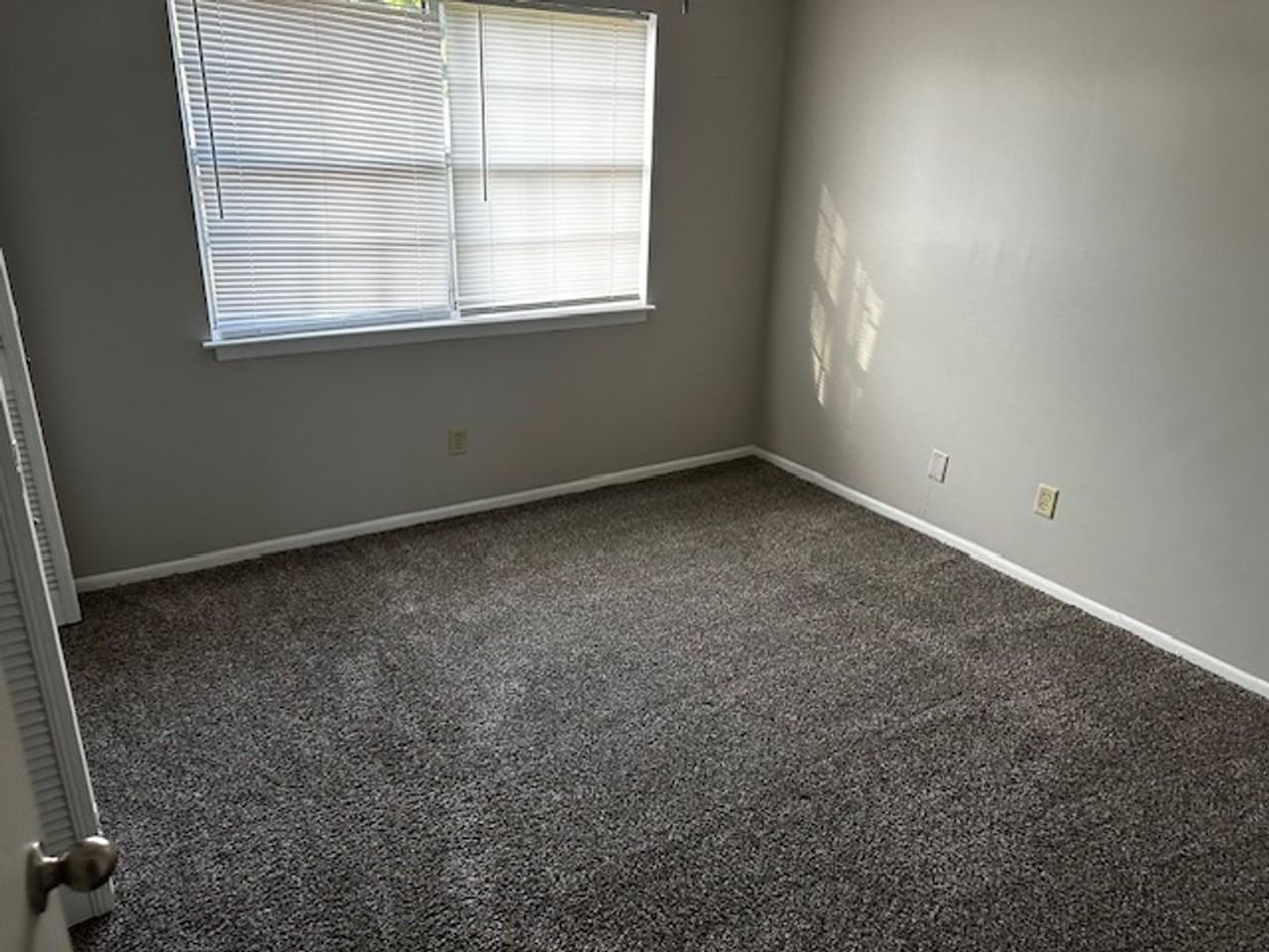 250 Cypress Lane - Photo 4 of 22