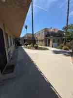 featured image of 225 Palmetto Dr