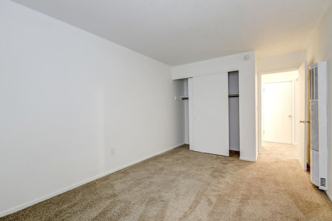 Mattis, LLC - Photo 4 of 18