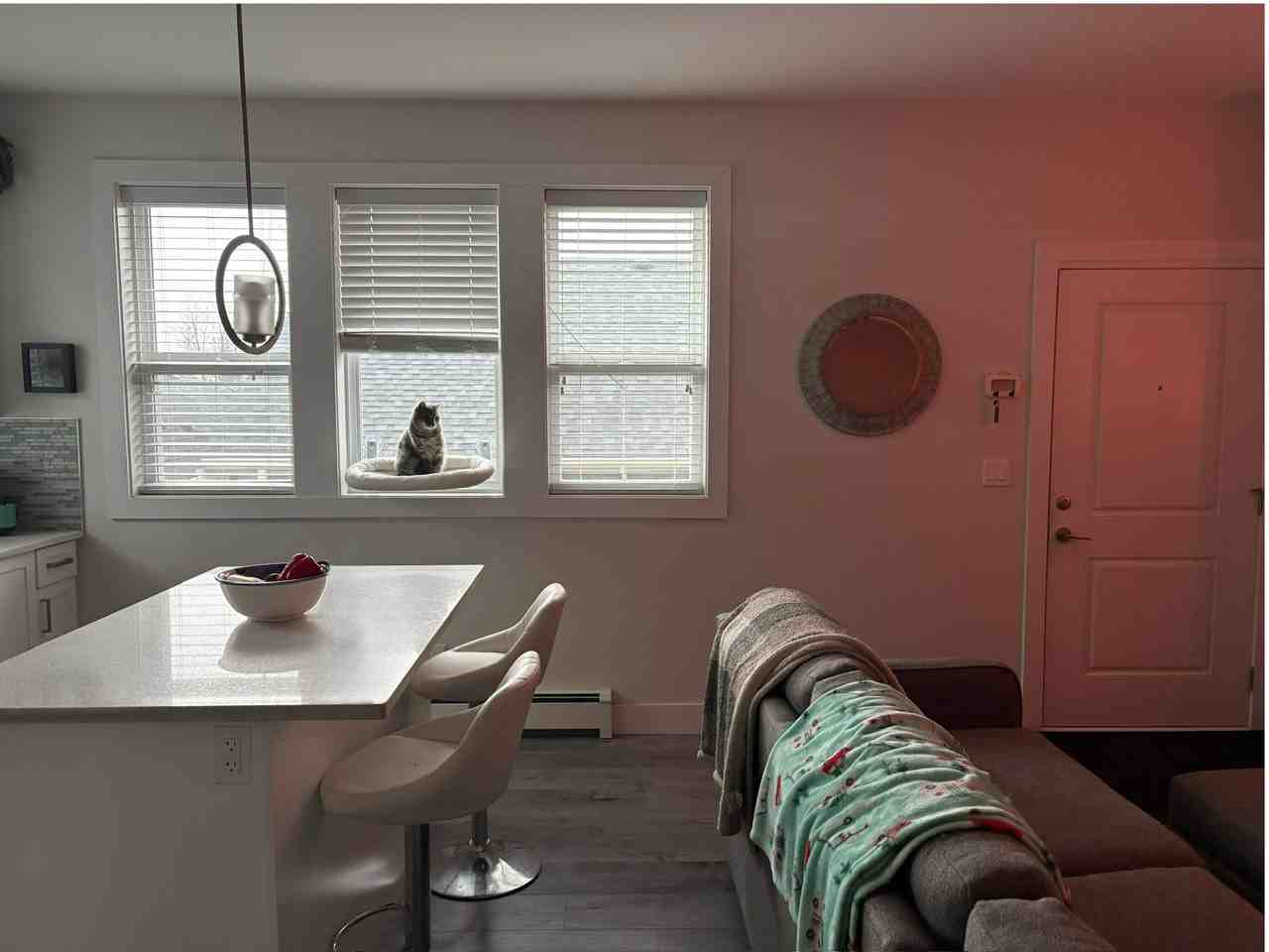 4414 Auguston Pky N - Photo 3 of 9