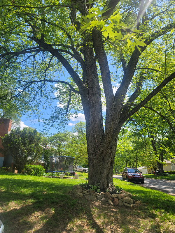 1633 N Rogers St - Photo 6 of 33