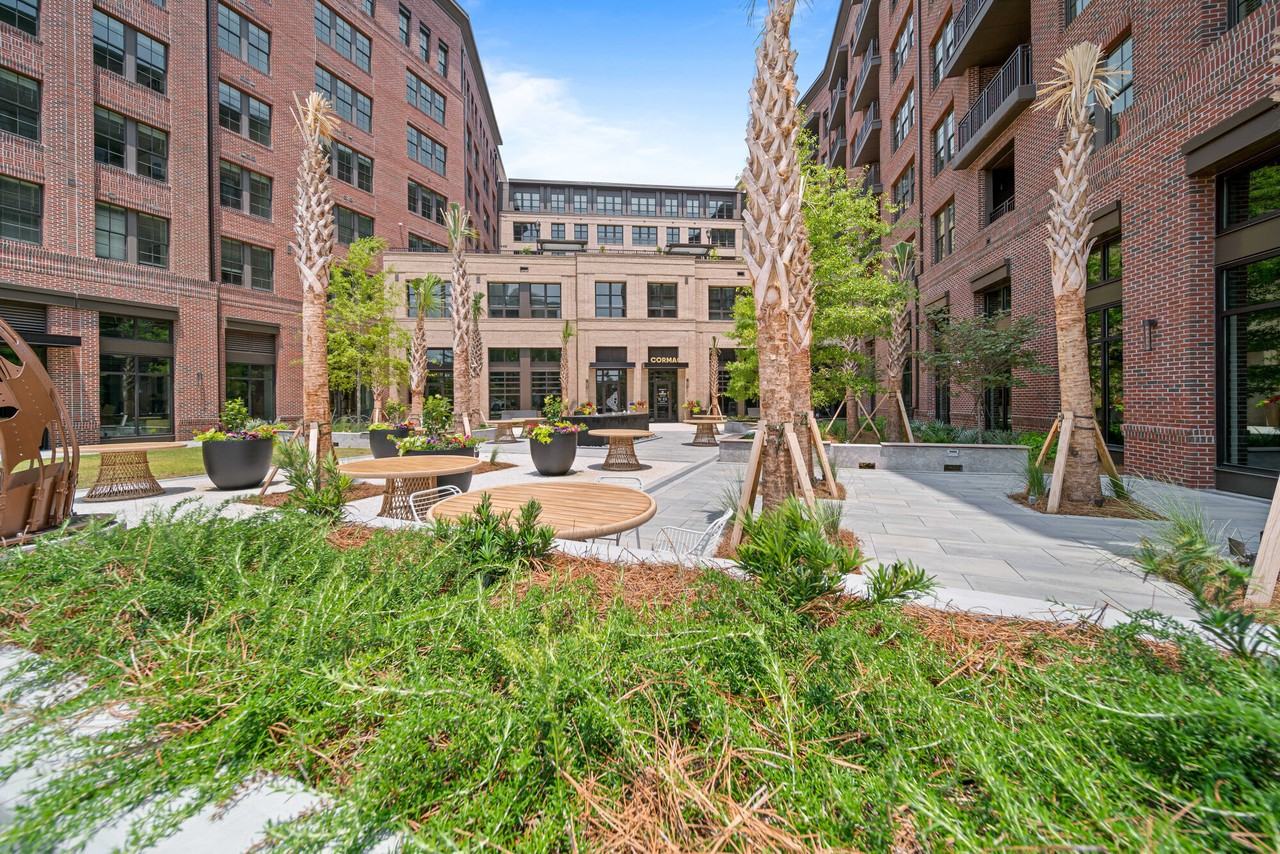 Cormac - Photo 2 of 50