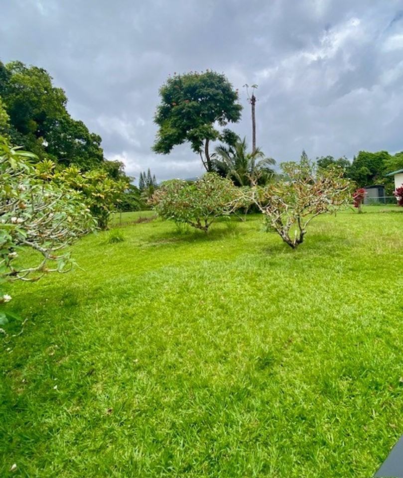 1111B Puuopae Rd - Photo 2 of 11