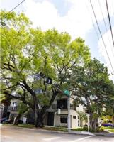 featured image of 7101 Ne 4th Ct #7101